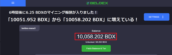 Beldex（BDX）のマスターノード提供サービス申し込み後の設定